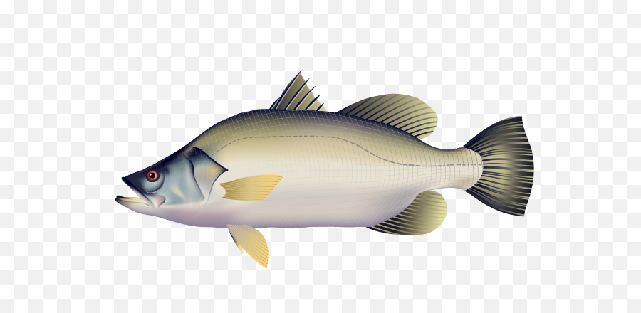 Skretting - The Species We Feed Skretting Bass Png,Sturgeon Icon