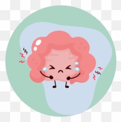 What Causes Bloating 13 Strategies To Help - A Little Bit Yummy Small Intestine Cute Png,Gi Tract Icon