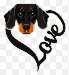 Dachsunds U2013 Pawsome Products Uk - Automotive Decal png