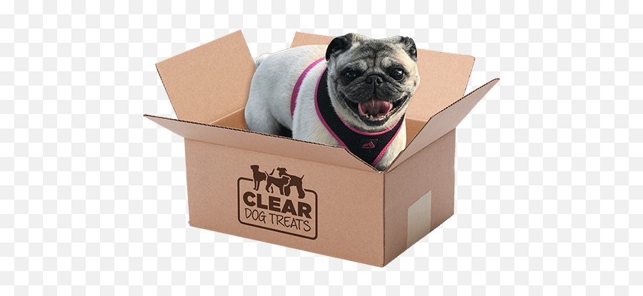 Cow Hooves Dog Treats The Clear Shop - Pug Png,Dog Transparent