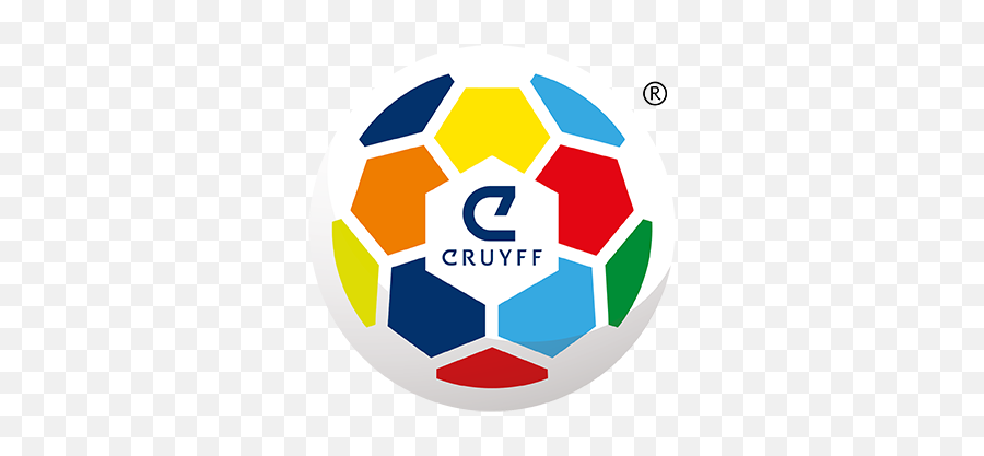 Getting Young People To Pay Watch Sport - Instituto Cruyff Png,Bt Sport Icon