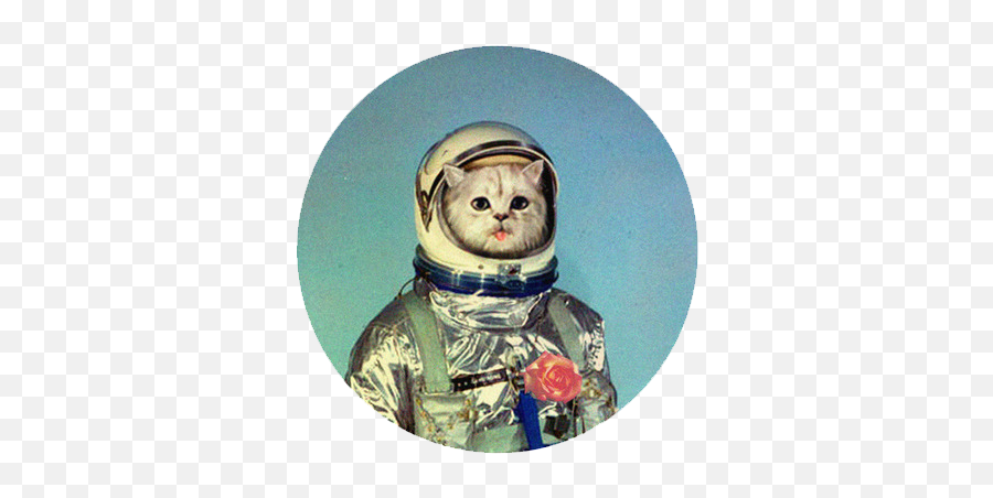 Dickbutt - Cat Astronaut Png,Dickbutt Png