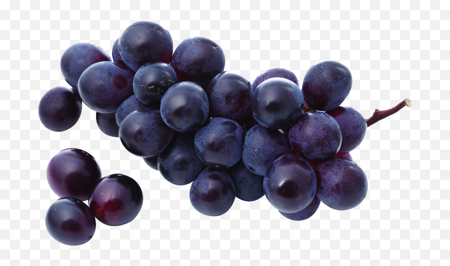 Grape Png Image U0026 Clip Art - Purple Grapes Png Purple Grapes Png,Grapes Png