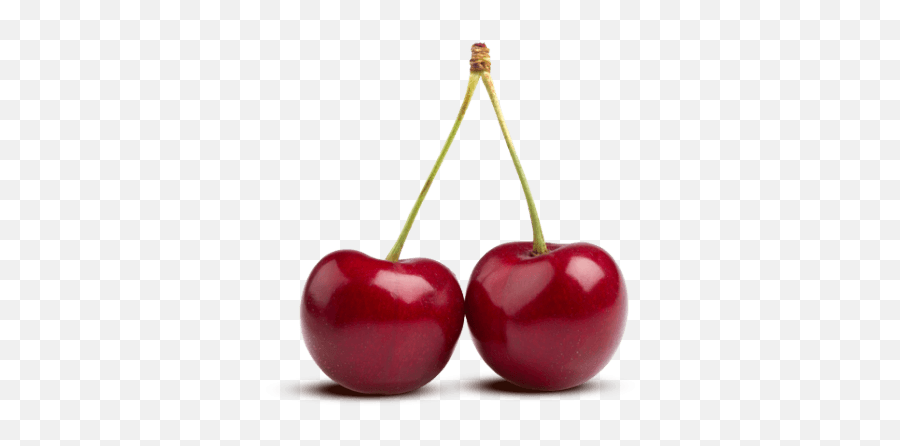 Two Cherries Transparent Png - Cherries Png,Cherries Png