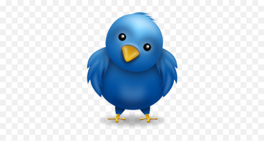 Twitter Bird The Bibliotaphe Closet - Twitter Bird Face Png,Twitter Bird Png