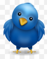 twitter bird button png