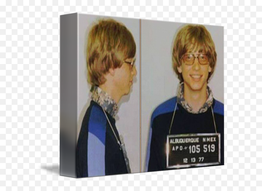 Bill Gates Mug Shot Horizontal Color By Tony Rubino - Bill Gates Mug Shots Png,Bill Gates Transparent