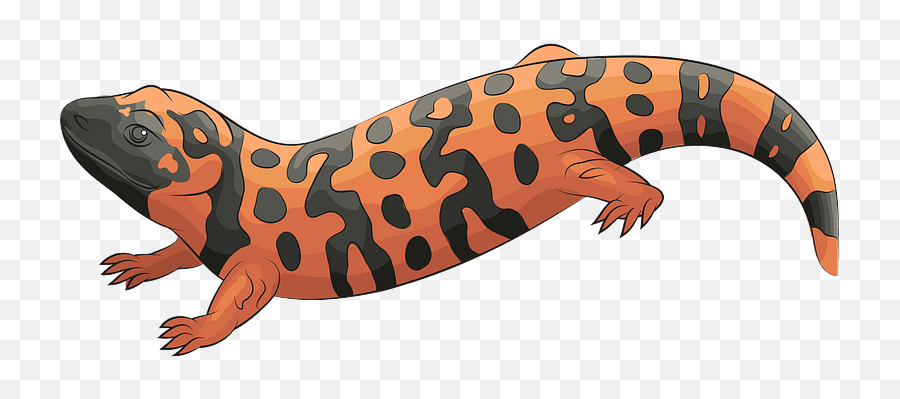 Gila Monster Clipart Free Download Transparent Png Creazilla - Transparent Gila Monster Clipart,Monster Transparent