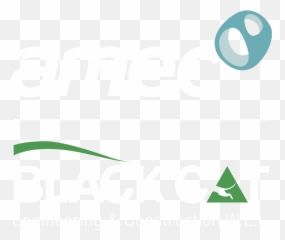 Amec Black Cat - Engineering Construction Wll png