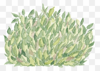Hand Painted Grass Transparent Cartoon - Agave Png,Cartoon Grass Transparent