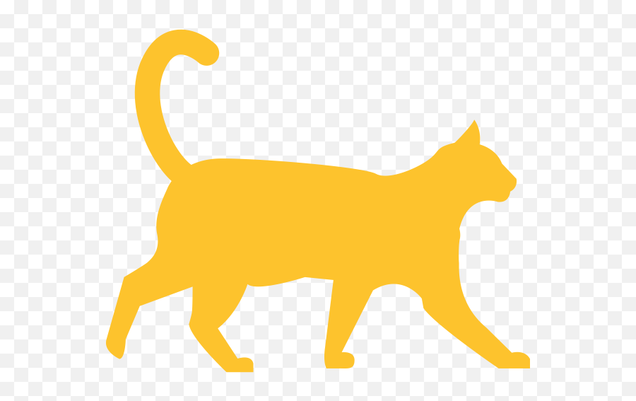 Part 2 Feline Eye Disease Often Overlooked Orange County - Cat Silhouette Transparent Background Png,Orange Cat Png