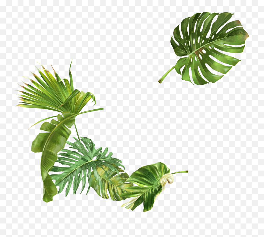 Ecoedro - Clip Art Png,Leafs Png