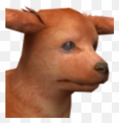 Miniature Dachshund Nintendogs Wiki Fandom Png