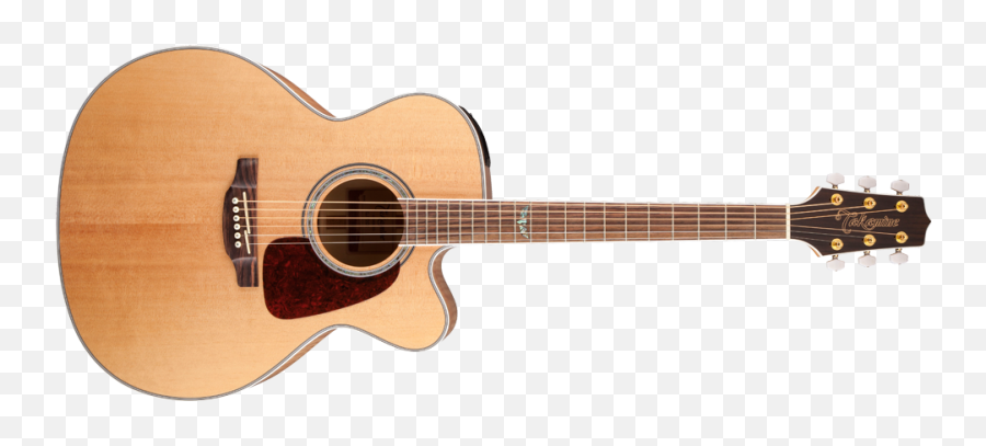 Takamine Guitars G - Series Guitars Fender Fa 125 Dreadnought Png,Acoustic Guitar Transparent Background