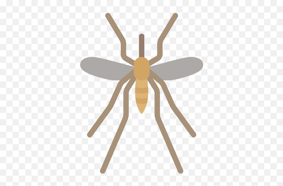 Mosquito Png Icon - Bug,Mosquito Png