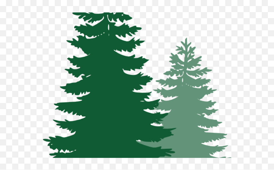 Pine Trees Cliparts - Pine Tree Silhouette Png,Pine Png