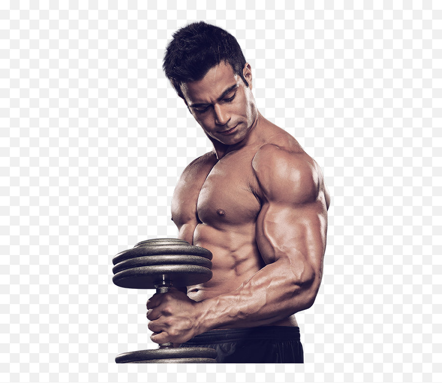 Bodybuilding Png Images - Gym Bodybuilding Png,Body Builder Png