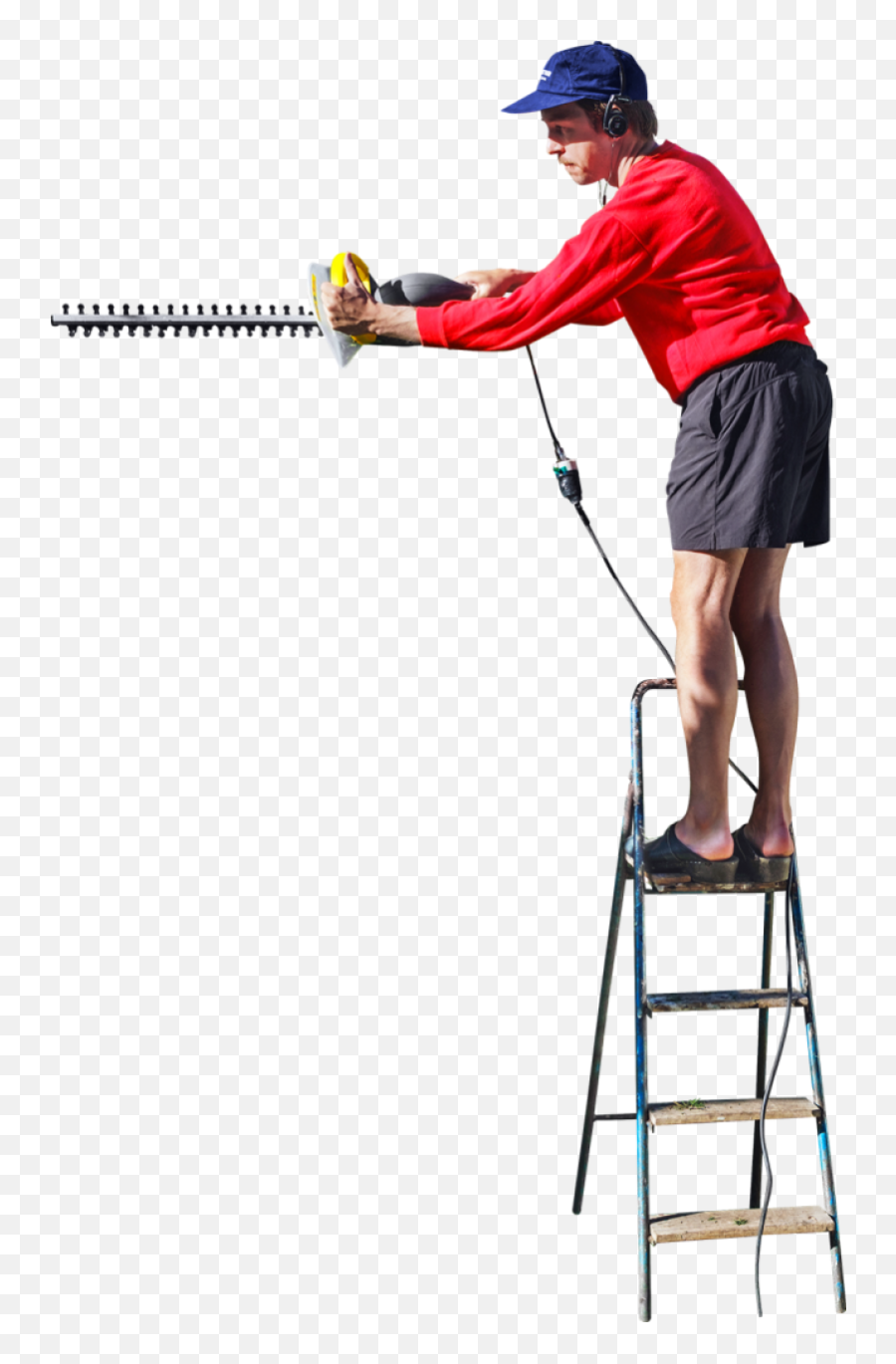 On A Ladder Cutting The Hedge Png Image - People Ladder Png,Hedge Png