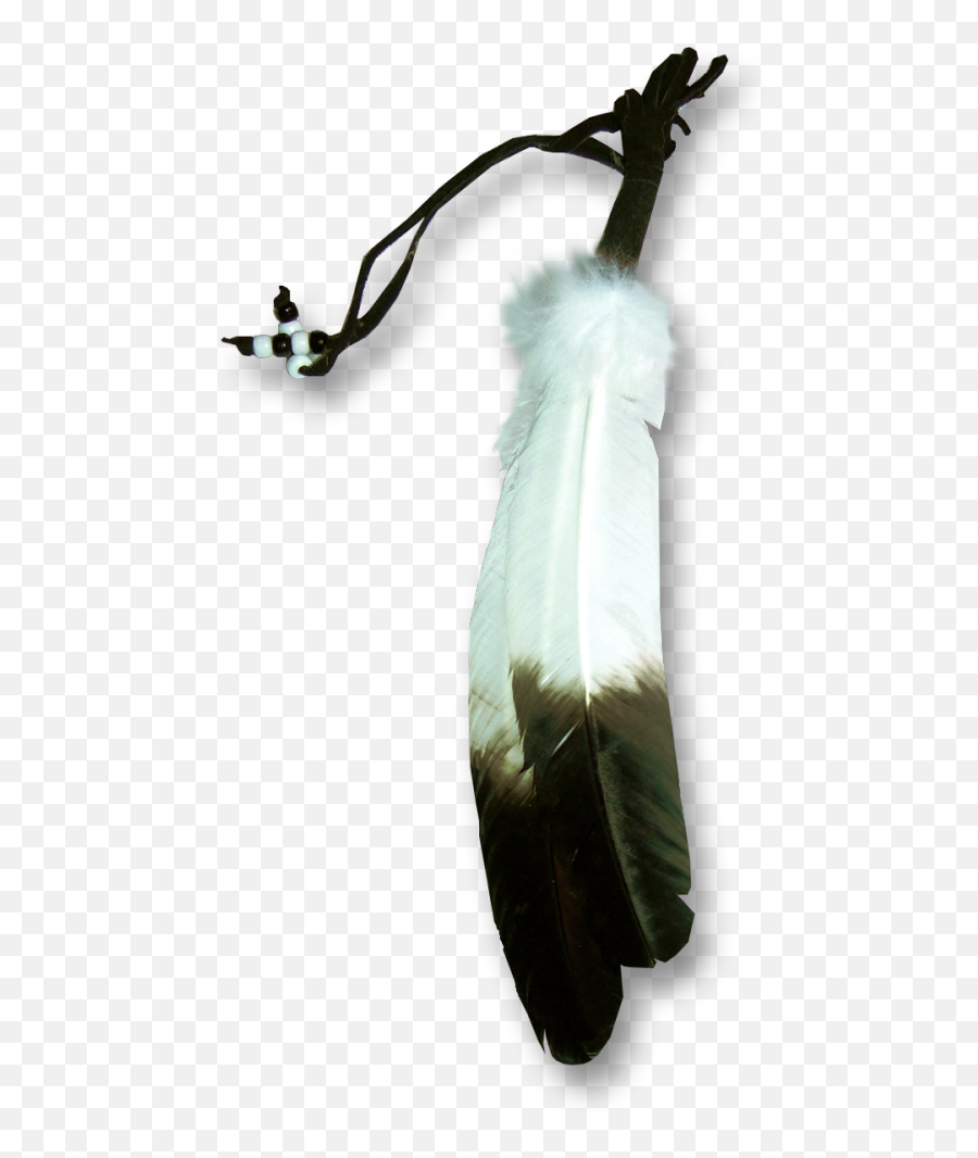 Hd Eagle Feather Transparent Png Image - Transparent Eagle Feather Png,Eagle Feather Png