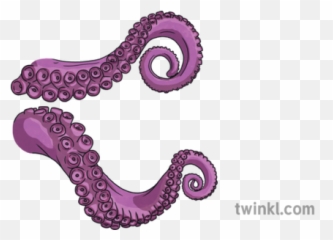 Disembodied Octopus Tentacles Animals - Illustration png