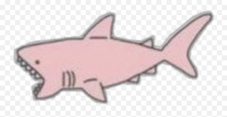 Shark Pink Aesthetic Sticker By - Great White Shark Png,Shark Icon