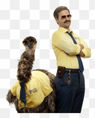 Liberty Mutual - Limu png