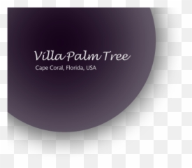Villa Palm Tree - Anipan png