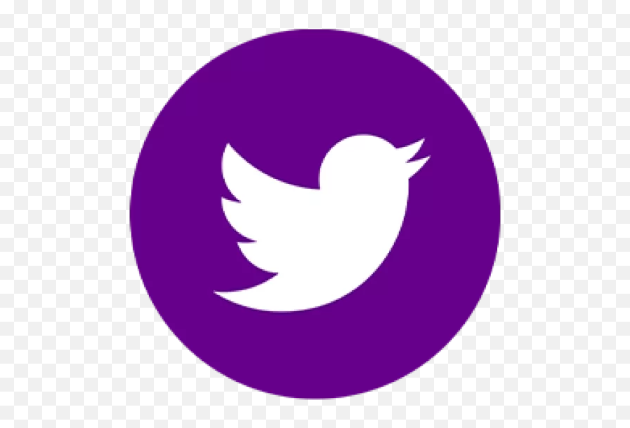 Newsroom Capstone - Language Png,Purple Custom Youtube Logo Icon