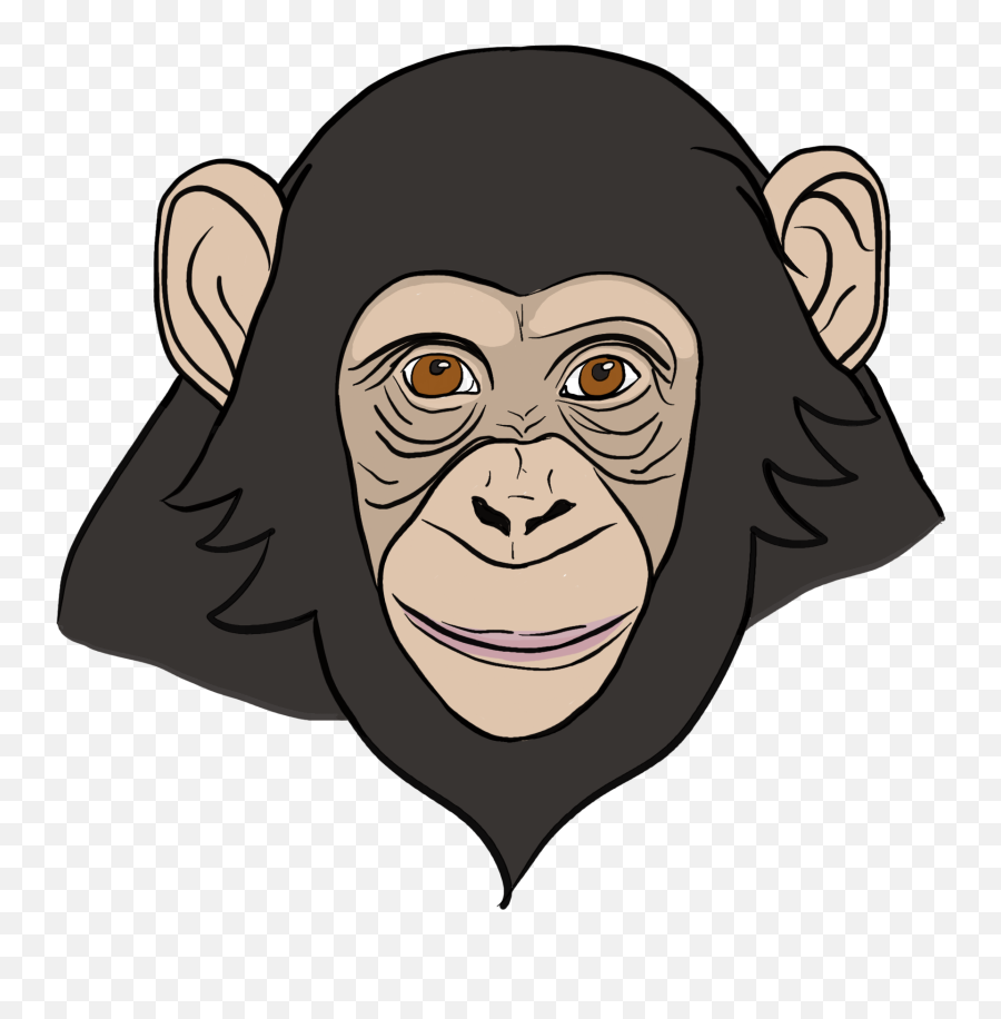 Compassionate Animal Charter For Compassion - Macaque Png,Icon Monkey Smile