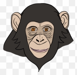 Compassionate Animal Charter For - Macaque png