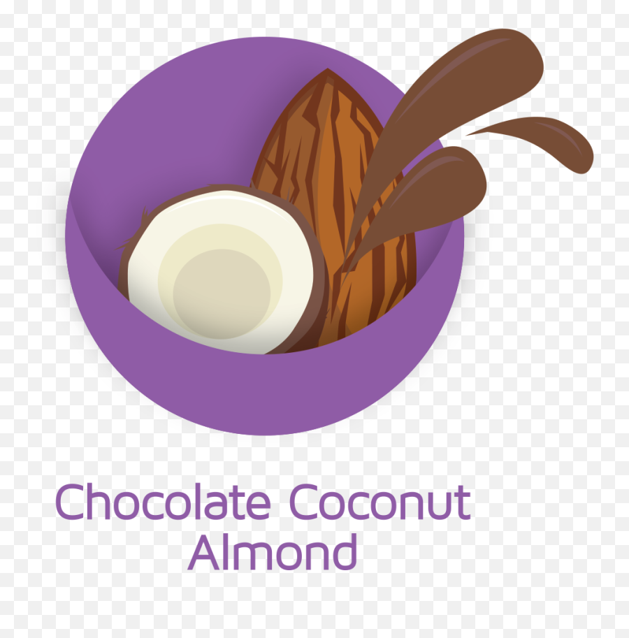 Bon Nut Butters U0026 Sweetschocolate Coconut Almond Small - Batch Nut Butters Chocolate Sweets Png,Coco Icon