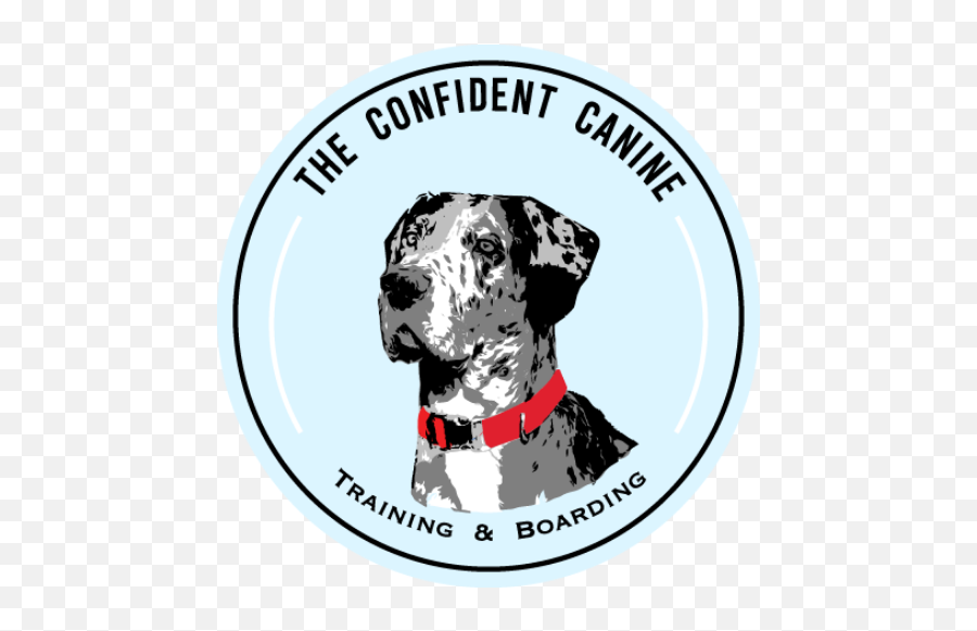 Dog Boarding - West Palm Beach The Confident Canine 9th Engineer Support Battalion Png,Dog Boarding Icon