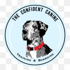 Dog Boarding - West Palm Beach The Confident Canine 9th Engineer Support Battalion Png,Dog Boarding Icon