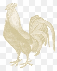 Iron Rooster Baltimore Md Jobs Hospitality Online - Rooster Png,Rooster Logo