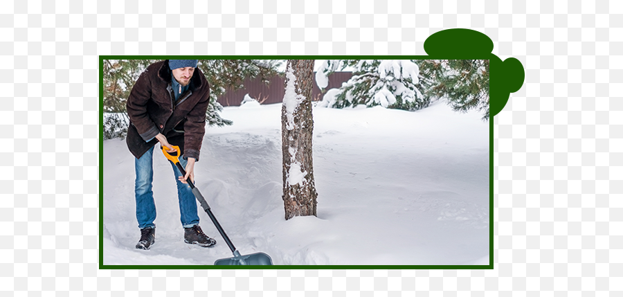 Snow Removal Services For North Central Wv Custom Tree - Snow Png,Snow Pile Png
