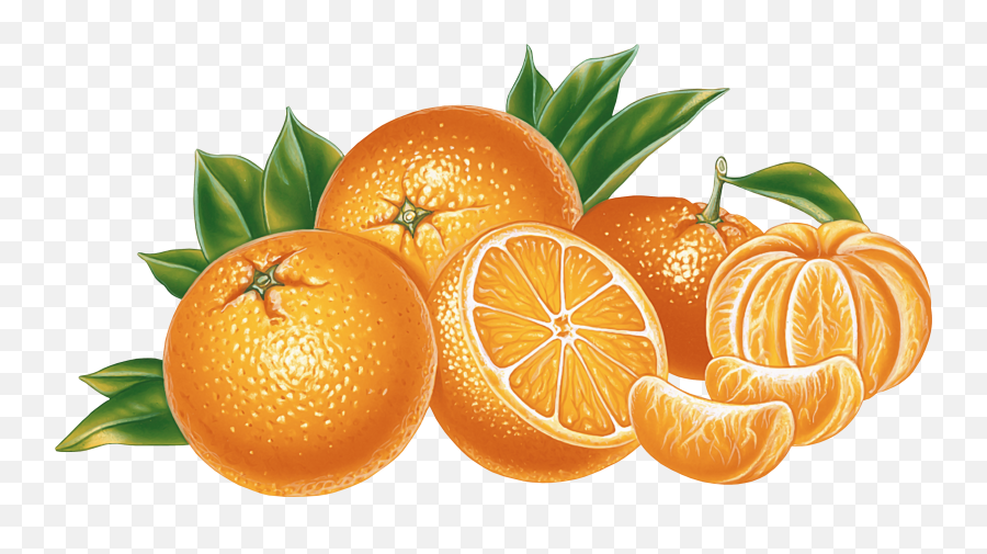 Orange Juice Download - Orange Juice Png Download 3000 Oranges Png Clipart,Clementine Png