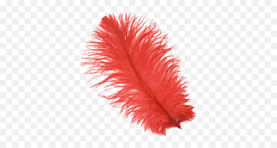 Feathers Transparent Png Images - Red Feather Png,Feather Transparent Background