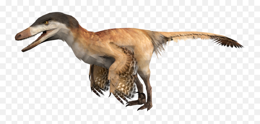 Velociraptor - Prehistoric Kingdom Wiki Velociraptor Png,Velociraptor Png