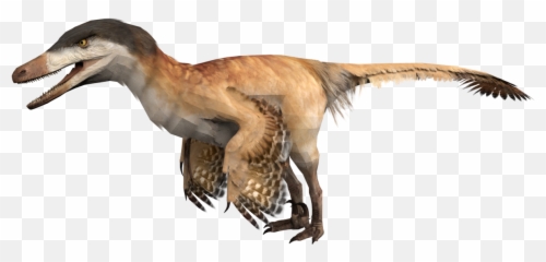 Velociraptor - Prehistoric Kingdom Wiki Velociraptor Png,Velociraptor Png