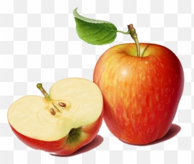 Download Juice Fruit Tree Apple Salad Hq Image Free Png - One And Half Apples,Fruit Tree Png