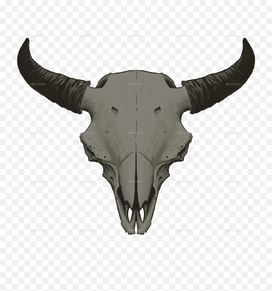 Download Animal Skull Vol - Bull Png Image With No Animal Skull Png,Bull Transparent Background