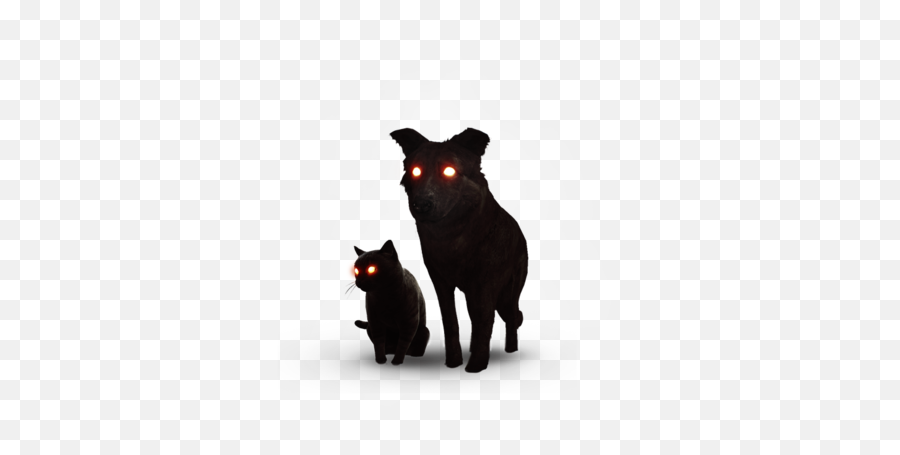 The Black Cat And Dog Witcher Wiki Fandom - Black Cat And Dog The Witcher Png,Black Dog Png