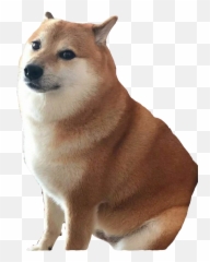 Dogelore - Balltze Transparent Png,Doge Png
