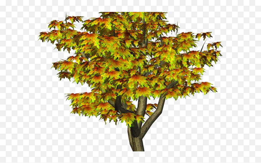 Fall Tree Clipart - Png All Photo Editing,Fall Tree Png