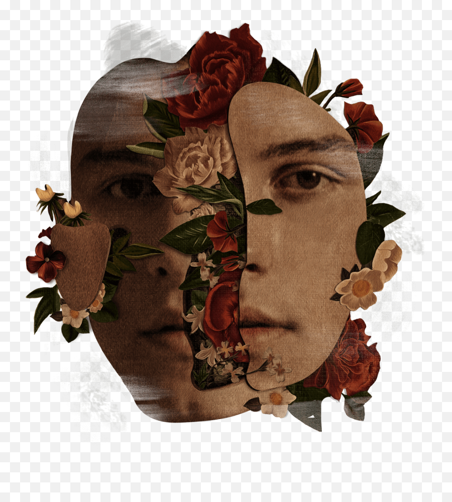 Shawn Mendes The Tour Latin America - Shawn Mendes Album Poster Png,Shawn Mendes Png