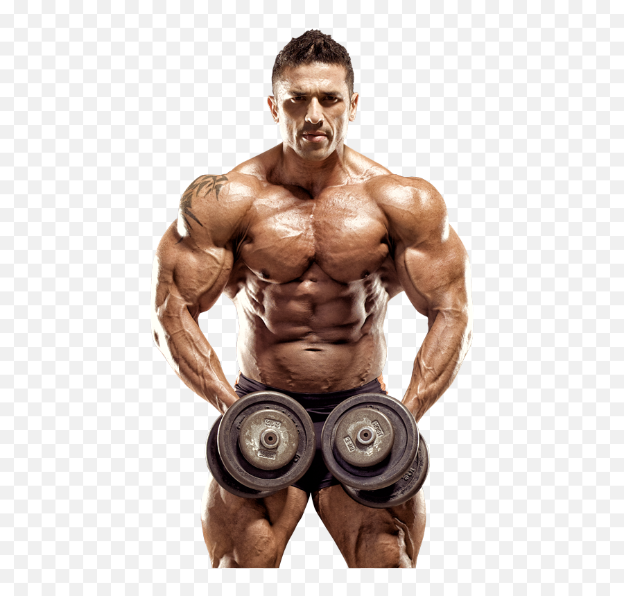Bodybuilder Muscle Png Picture - Black Body Builder Png,Body Builder Png