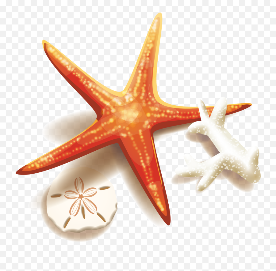 Transparent Background Starfish Png - Clip Art,Starfish Transparent Background