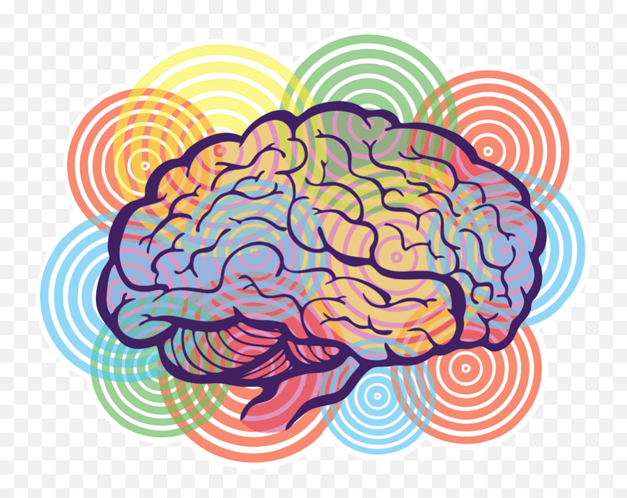 Picture - Brain Graphic Png,Creativity Png