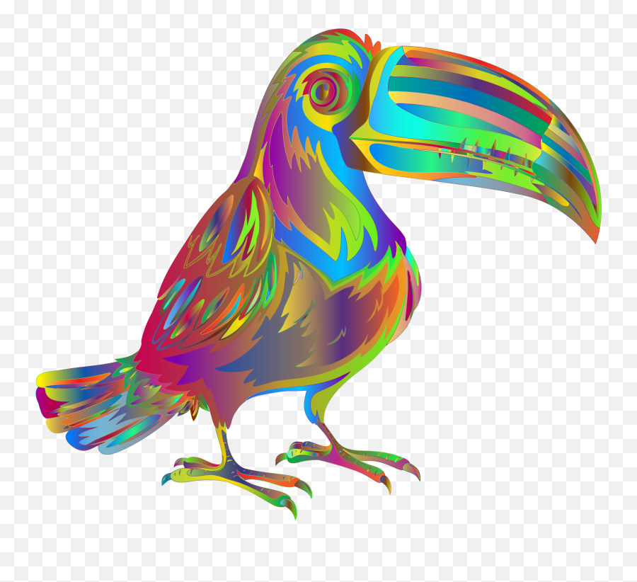 Download Big Image - Surreal Transparent Png,Toucan Png