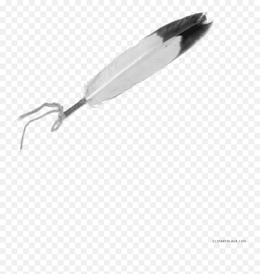 Eagle Clipart Feather - Eagle Feather Png,Eagle Feather Png